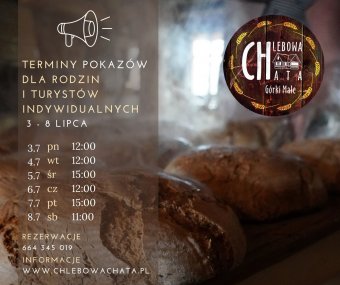 Wakacje - pokazy dla rodzin i turystów indywidualnych Wakacje - pokazy dla rodzin i turystów indywidualnych